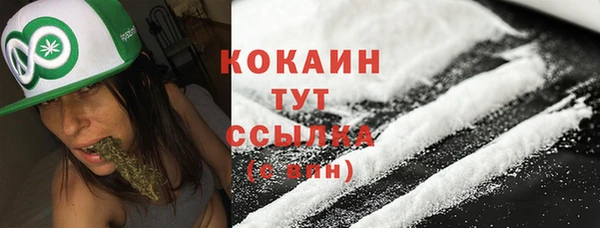 дживик Ростов