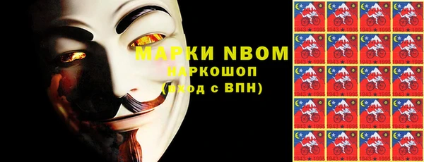 шишки Аркадак