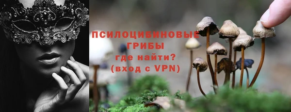 шишки Аркадак