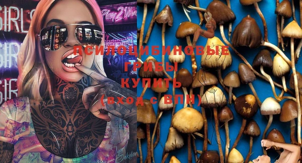 шишки Аркадак
