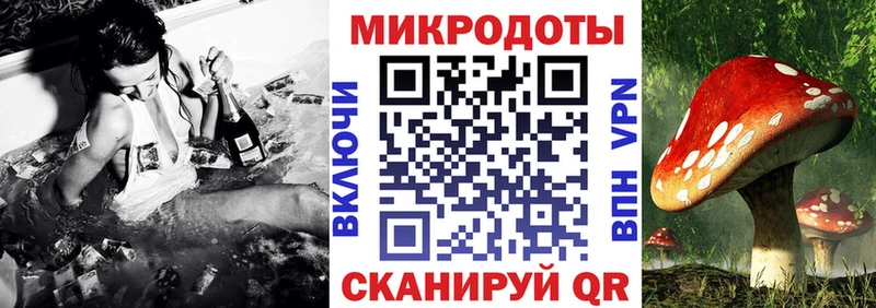 Псилоцибиновые грибы Psilocybe Купить где Буйнакск