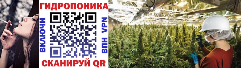 Купить закладки  Буйнакск  Канабис планчик 